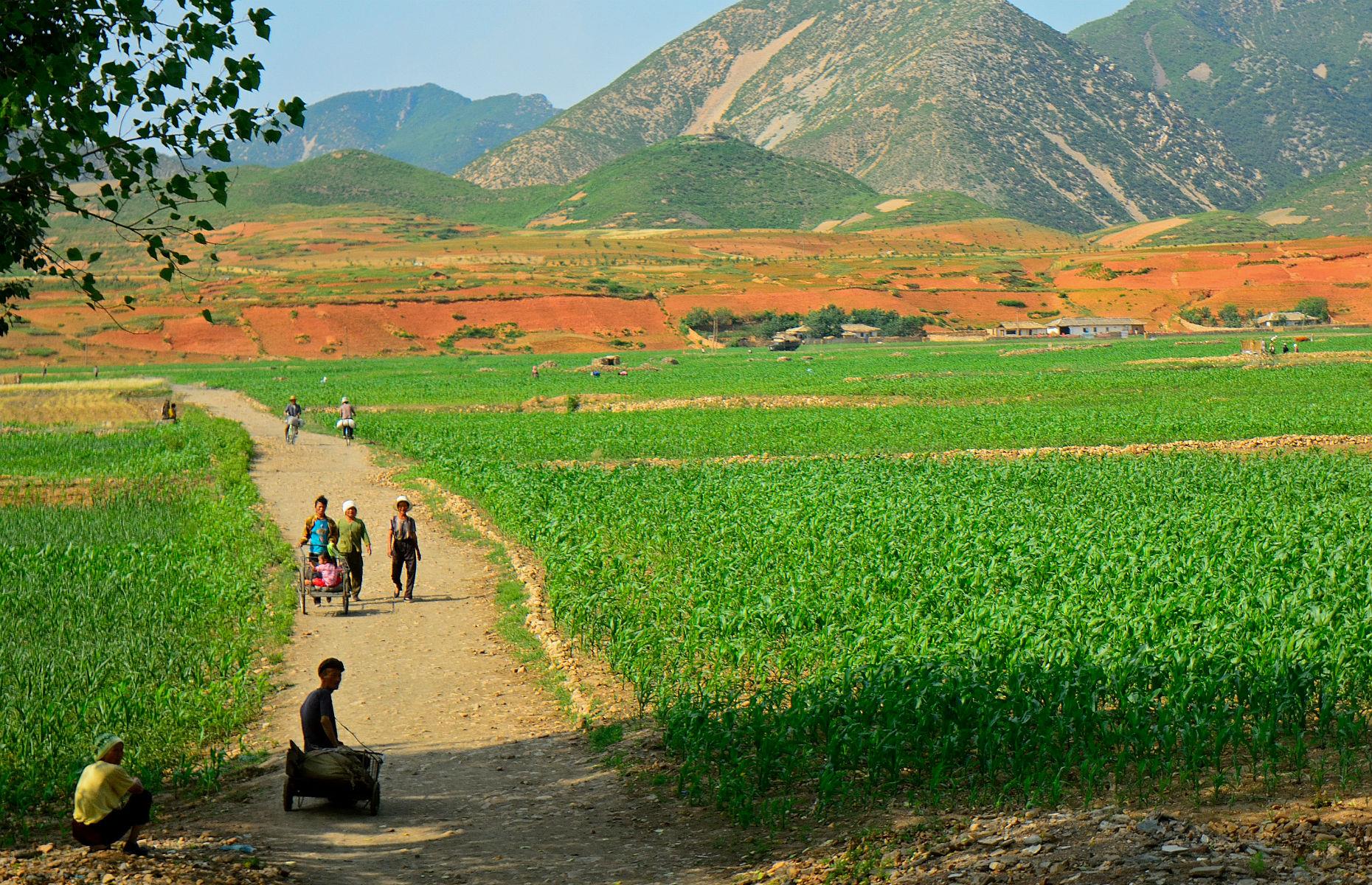 North Korea, the country with the highest slave population: 1,100,000